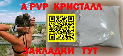 гашик Нальчик
