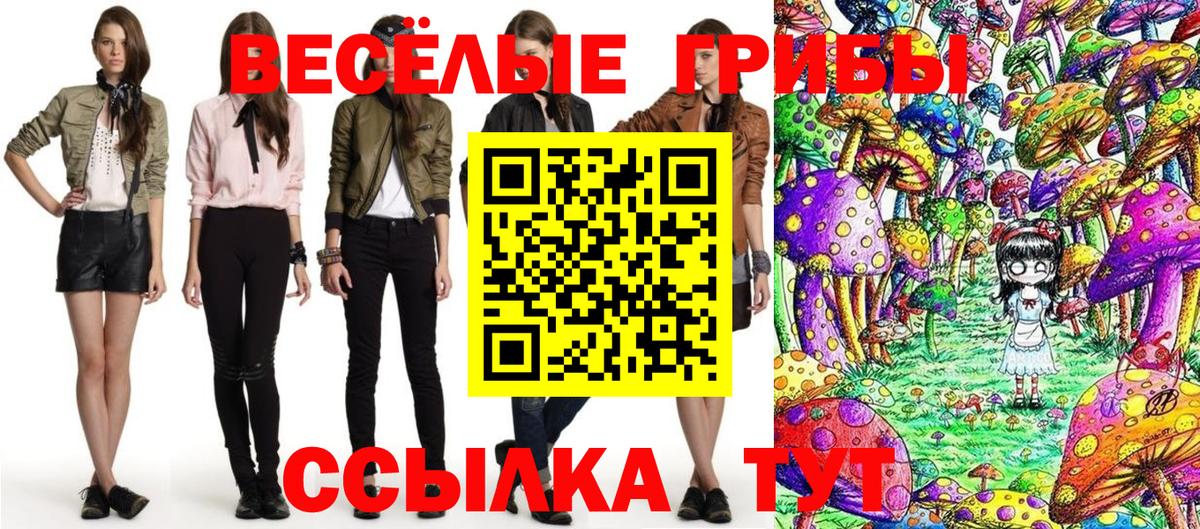 Псилоцибиновые грибы ЛСД  Вход с VPN  Старая Купавна  Галлюциногенные грибы ЛСД 